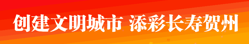 贺州智能AI交通劝导系统上线啦！科技赋能让交通更安全(图6)