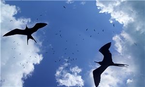 米乐智能科技：智能交通行业前景研究未来趋向：2024年有望达2610亿元(图3)