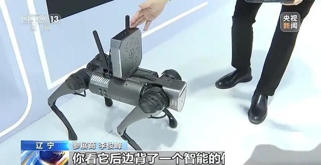 米乐m6科技：机器人再升级！2024工业互联网大会智慧大脑全面亮相你会错过吗？(图7)