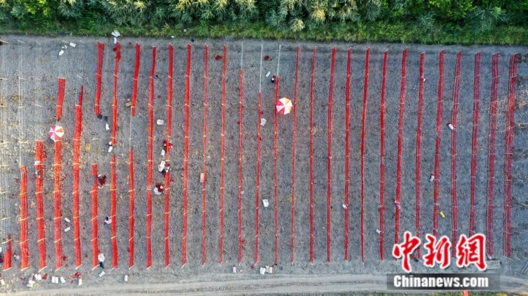 全球12%辣椒红素产自新疆这座小城(图9)