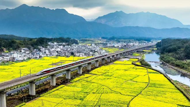 米乐m6科技平台：数读交通——《2024上海综合交通发展分析报告》出炉！(图6)