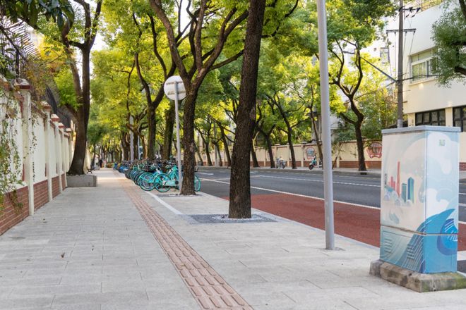 米乐m6科技平台：数读交通——《2024上海综合交通发展分析报告》出炉！(图23)