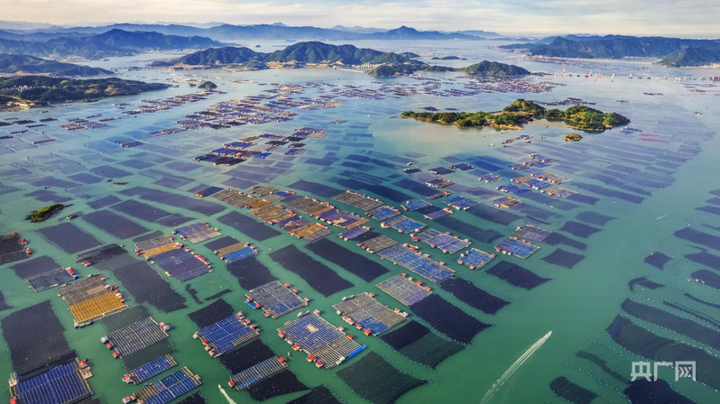 经济大省挑大梁·行进福建｜金色、蓝色、绿色探访宁德产业“扶摇高飞”三重奏(图4)