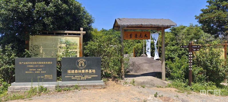 经济大省挑大梁·行进福建｜金色、蓝色、绿色探访宁德产业“扶摇高飞”三重奏(图7)