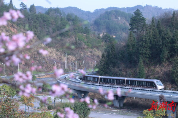 米乐m6：深度｜“馅饼”还是“陷阱？磁浮交通何去何从？(图2)