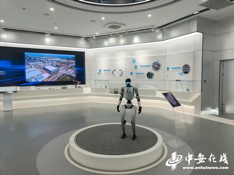 世界制造业大会·新兴产业篇丨向“新”发力的安徽“智造”(图3)