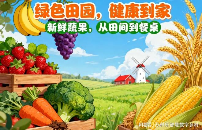 乡村交通物流不便成本高万村乐智能调度优化配送(图2)