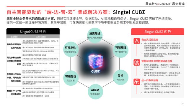 基建为底AI为翼：中国企业AI转型与东南亚市场机遇(图23)