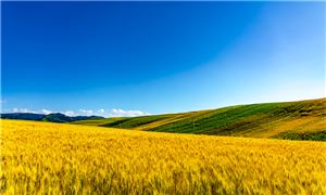 2024年中国智能交通行业市场现状及未来发展趋势分析(图5)