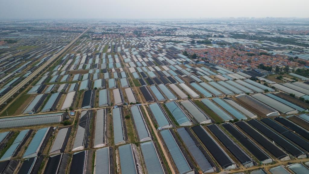 米乐m6科技：经济大省调研行丨在这里钢厂开始造卫星一粒种子能撬动一个产业链……(图5)