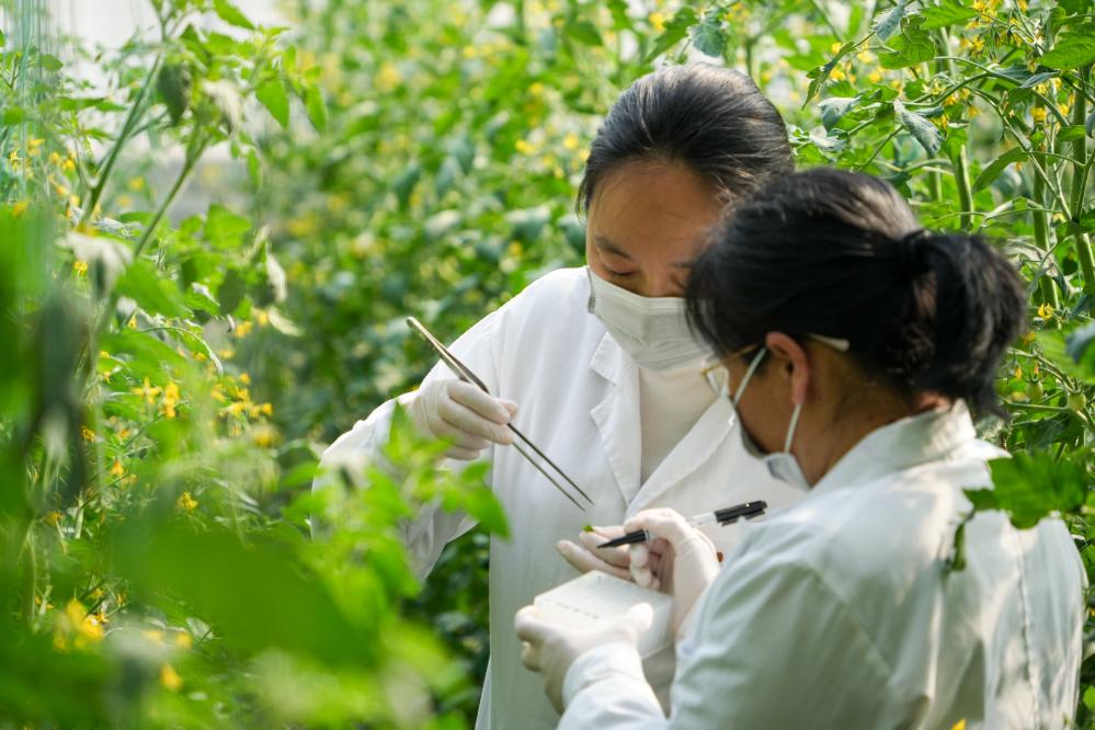 米乐m6科技：经济大省调研行丨在这里钢厂开始造卫星一粒种子能撬动一个产业链……(图7)